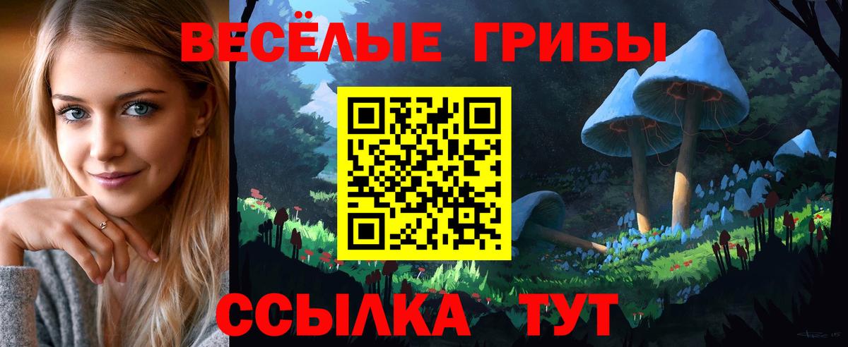 Кашира  Галлюциногенные грибы Magic Shrooms  Вход с VPN 